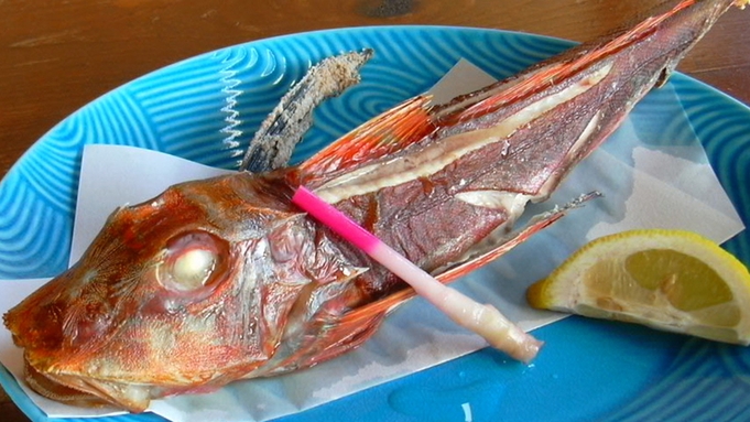 【おまかせ海鮮プラン】銚子港、飯岡港水揚げの旬の海鮮を味わおう！